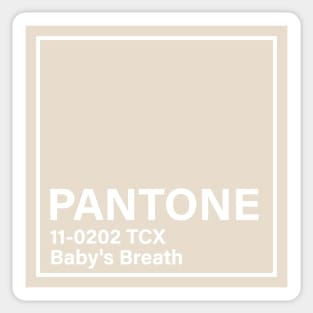 pantone 11-0202 TCX Baby s Breath Sticker